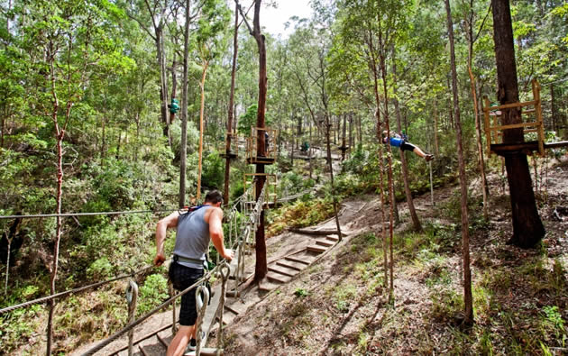 Even if you don't like to climb, Adventure Parc offers easy tree-top walks as well as advanced skills courses. 10 minutes drive from your accommodation at Amore.
