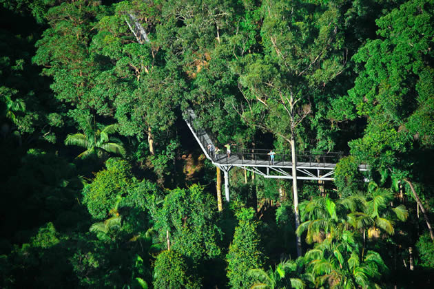 Tamborine Mountain Skywalk, and National Parks are minutes from your accommodation. Some are so close, you can walk.