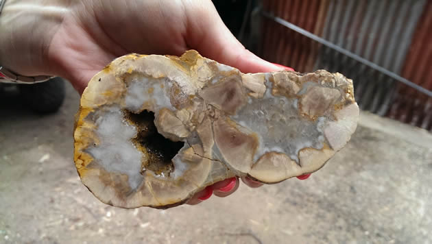 Thunder egg mine in Tamborine Mountain. 10 minutes drive from your accommodation.