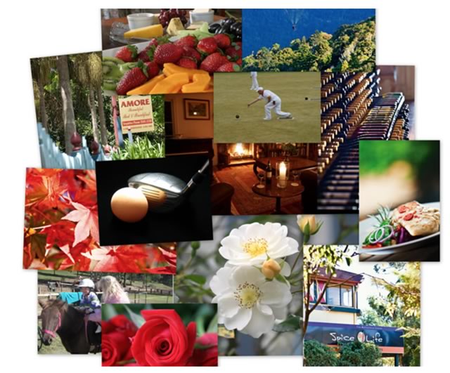 Tamborine Mountain has many activities for visitors to participate, right near our Tamborine accommodation.