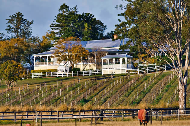 Amore BandB is close to many cellar doors and wineries. Albert Winery is about 15 minutes drive from your accommodation.