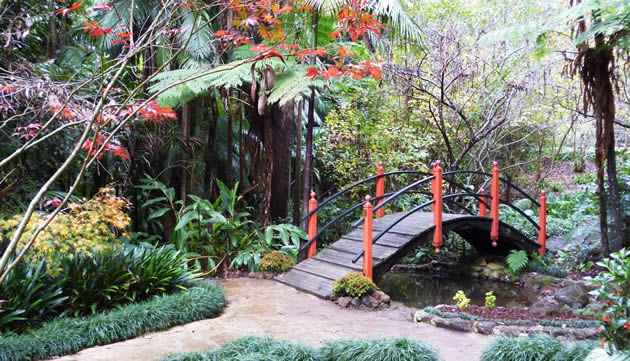Tamborine Mountain Botanic Gardens has local native species as well as plants from around the world. Some can walk here, others take the 5 minute drive from their accommodation.
