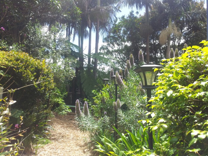 The Gardens incorporate an established Rainforest section. Garden views from every window of your Tamborine accommodation.