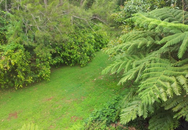 Mt. Tamborine accommodation in the premium central position.