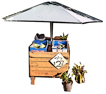 One of many fruit stalls along the road near your Amore B&B accommodation in Mt Tamborine