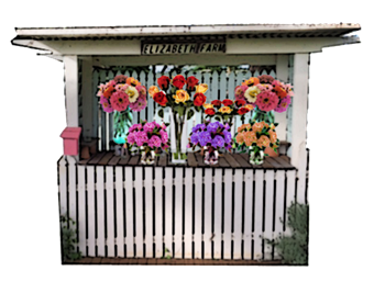 Fresh flower stall near Amore B&B in Mt Tamborine