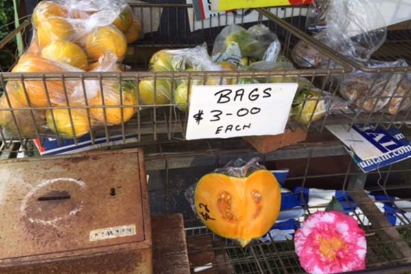 Honesty box with roadside fruit and vegetable stall near your accommodation at Amore B&B