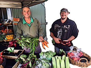 Bev Buckley's fruit stall in Mt Tamborine
