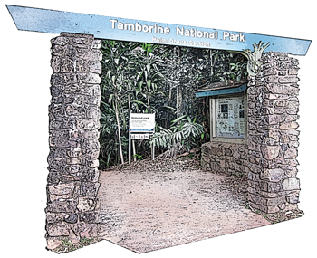 Palm Grove National Park in Palm Grove Avenue is a short walk from Amore B&B - accommodation Tamborine