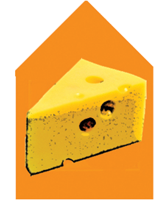 Witches Chase Cheese Factory is located directly across the road from your accommodation at Amore B&B - Tamborine Mountain