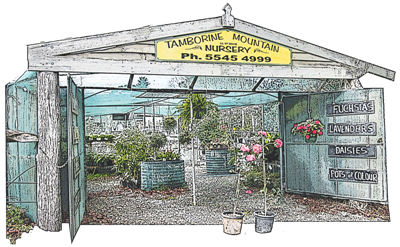 Stroll to Tamborine Mountain Nursery just down the road from your accommodation in Mt Tamborine - Amore BnB