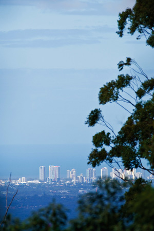 View of the Gold Coast from the entrance of Palm Grove National Park