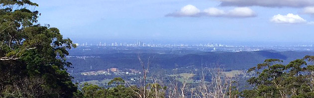 Views of the Gold Coast from Mt Tamborine near Amore B&B