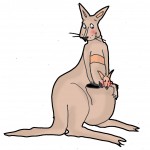 local wildlife guide